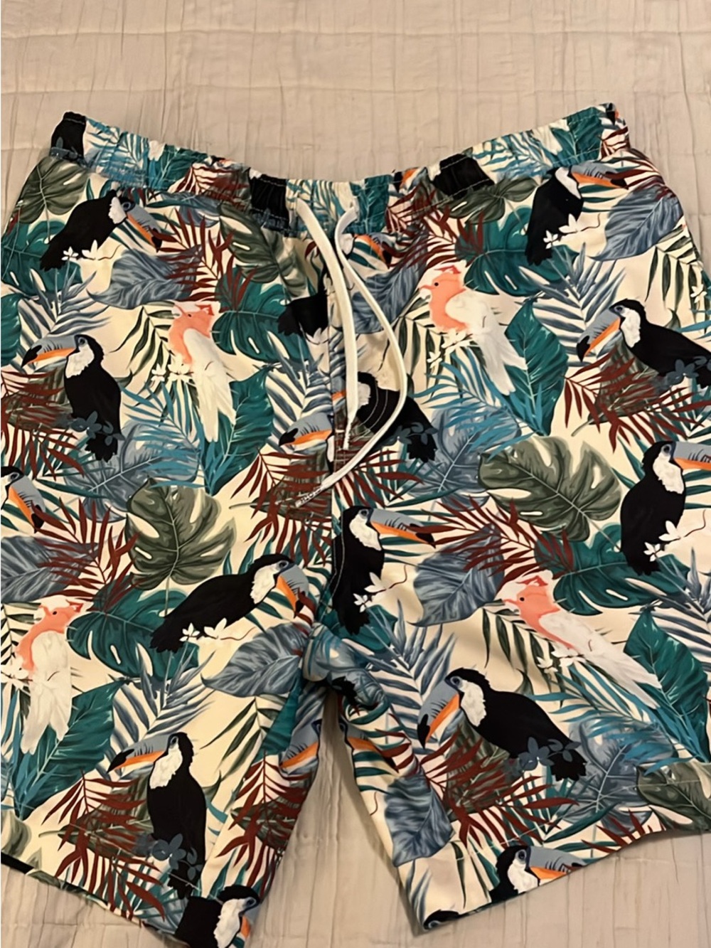 Brooklyn Cloth Tropical Toucan Swim Trunks in Teal, Black, Coral